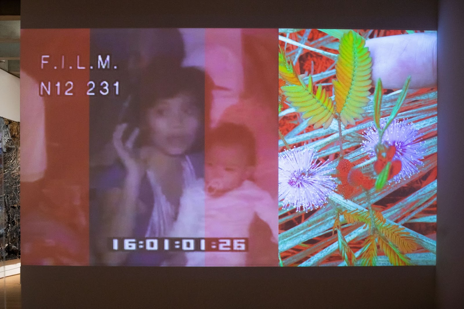 Image: Film still from “Makahiya," 2024. Digital Film and Stereo Sound, originally commissioned by Light Work Urban Video Project at Syracuse University, and supported by a NYSCA/NYFA grant. A large-scale project of a video of two panels. The left one is split into three panels with a picture of a woman and a baby that's timestamped as 16:01:01:26 and it's marked as F.I.L.M. N12 231. To the right, it shows a highly saturated depiction of plants. Courtesy of Crystal Z Campbell.