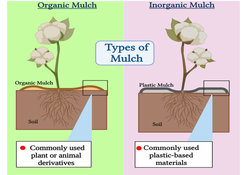 Types of Mulching