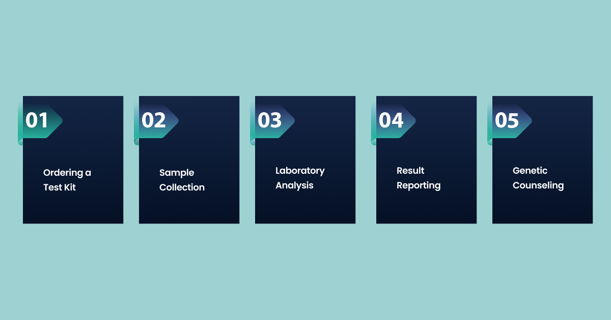 What Is Direct-to-Consumer (DTC) Genetic Testing and How Does It Work?