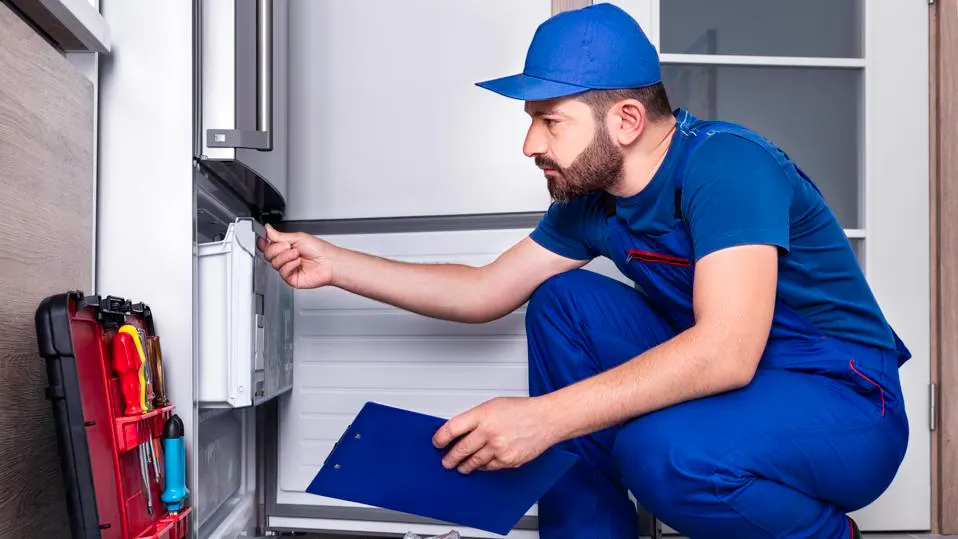 When to Call a Professional: Understanding Fridge Repair Needs