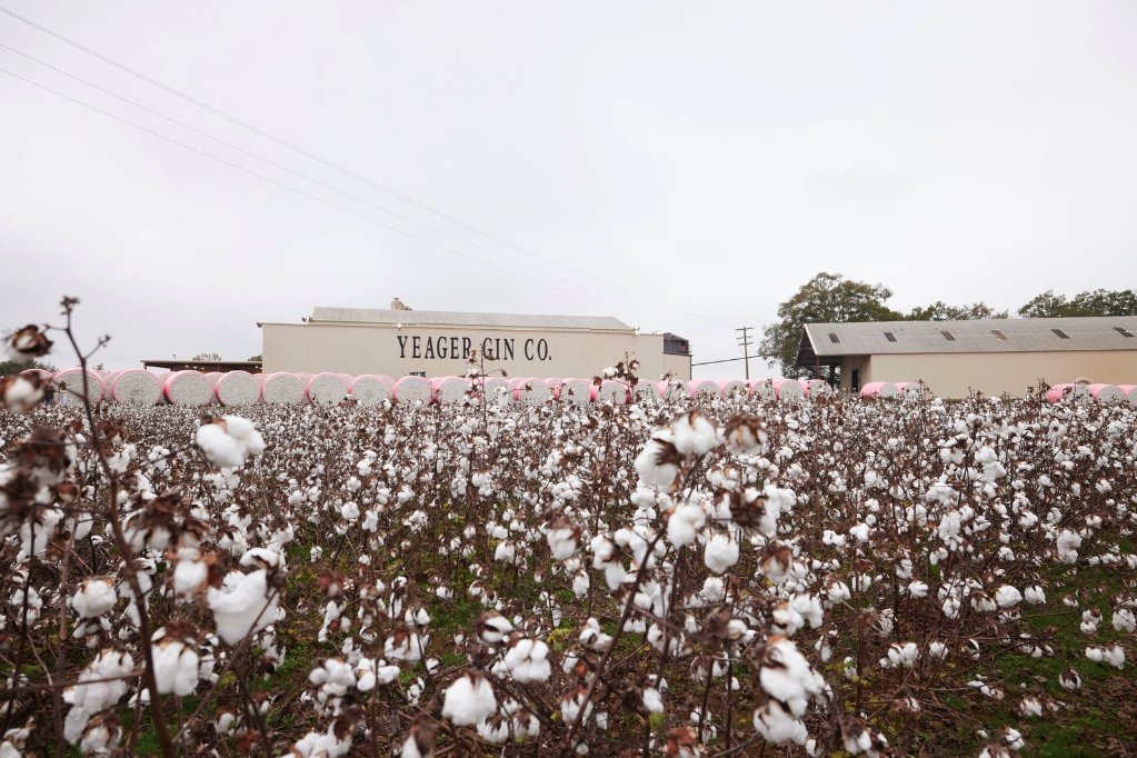 Choosing Red Land Cotton means supporting sustainable practices and American farmers.