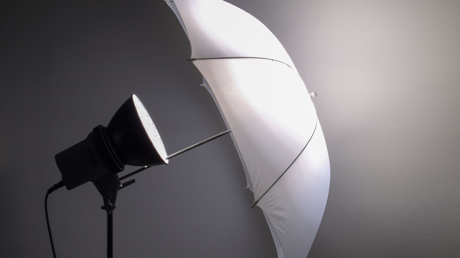 Studio Lighting Kits for Beginner Image 4