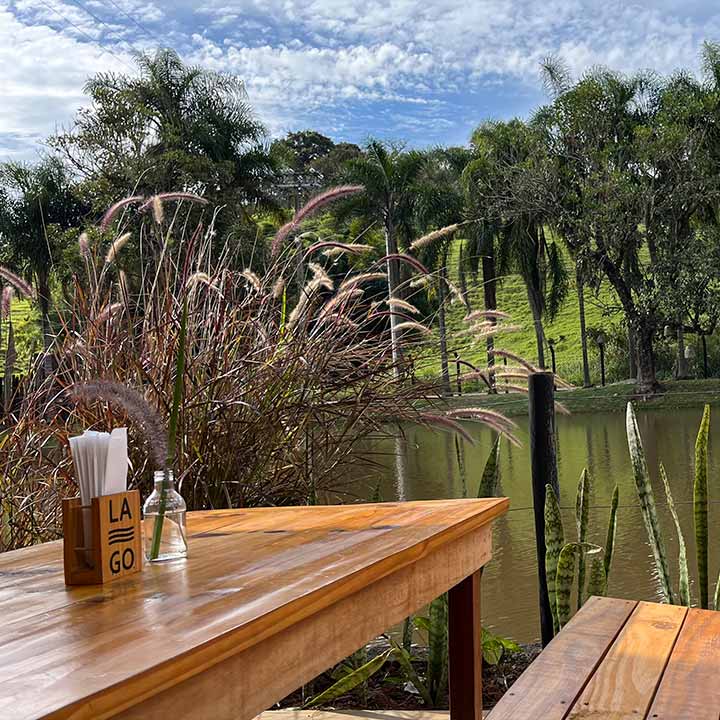 Uma mesa de madeira ao ar livre com vista para um lago cercado de vegetação tropical, incluindo árvores altas e plantas aquáticas, sob um céu parcialmente nublado.