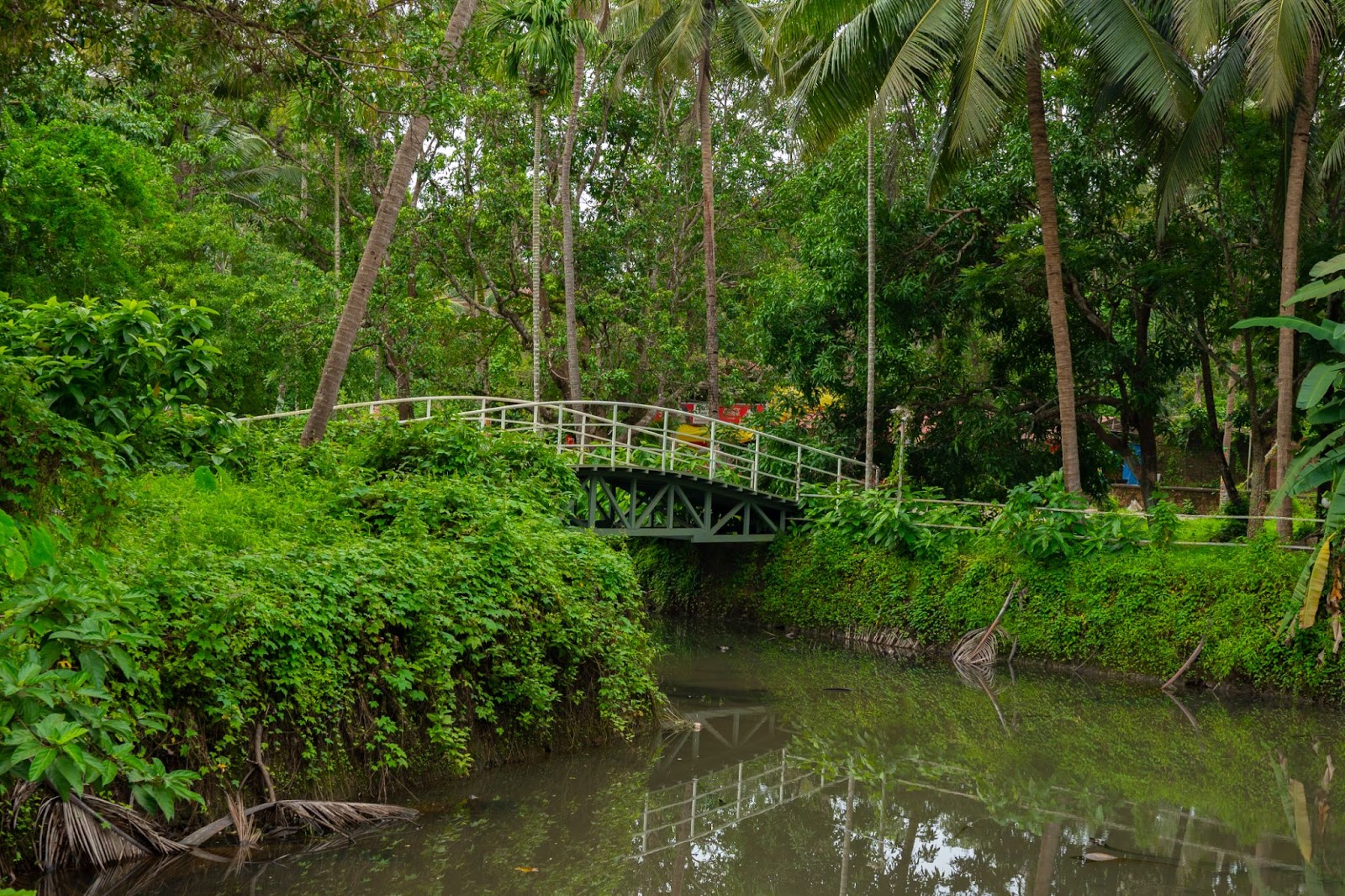 Luxury Bungalow For Sale In Goa - Forest
