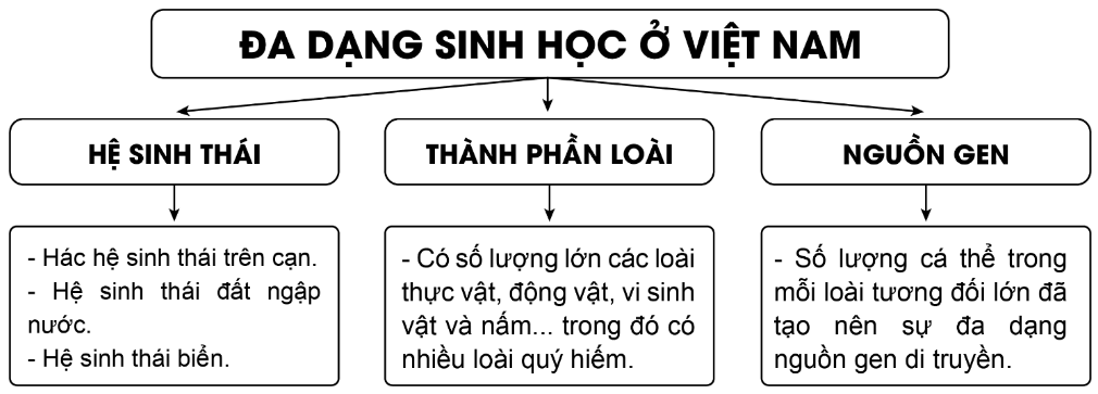 BÀI 10. ĐẶC ĐIỂM CHUNG CỦA SINH VẬT VÀ VẤN ĐỀ BẢO TỒN ĐA DẠNG SINH HỌC Ở VIỆT NAM