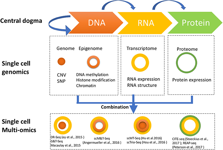 The Rise of Multi-omics: Expanding RNA-Seq Beyond Gene Expression