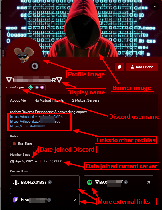 A detailed view of a Discord user’s profile window, highlighting the profile image, banner, and additional information.