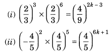 Exponents and Powers Class 7 Extra Questions Maths Chapter 13 Q15