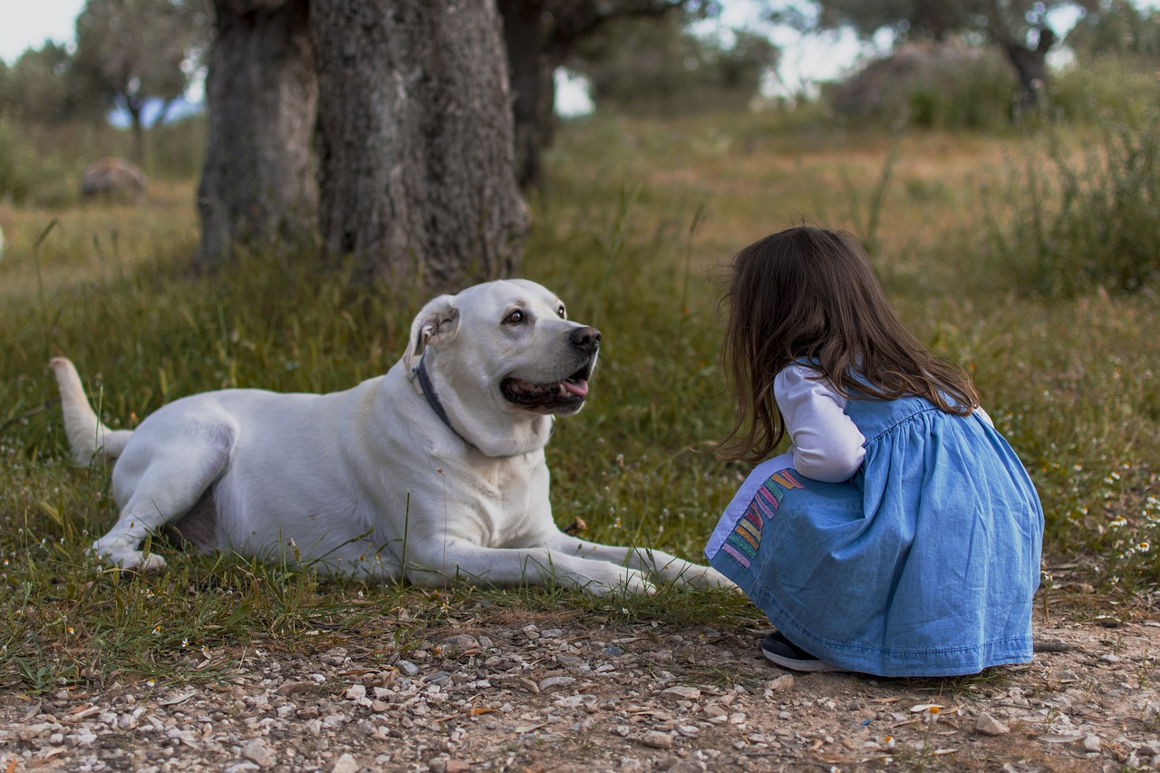 a little girl outside with her white dog