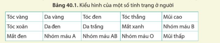 BÀI 40: DI TRUYỀN HỌC NGƯỜI