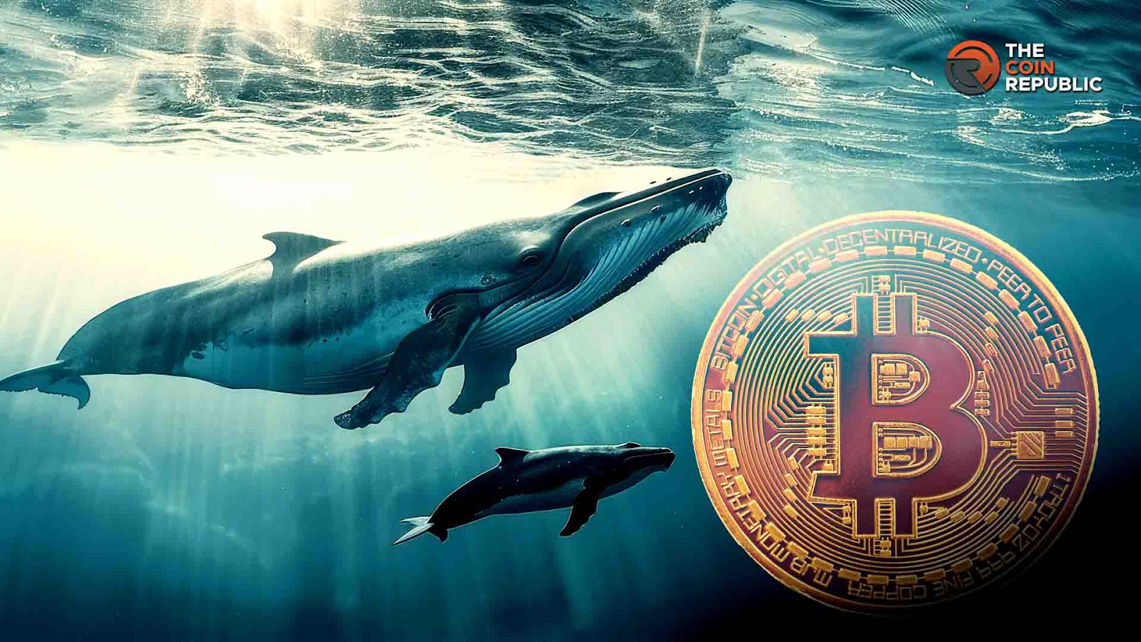 Crypto whale representing large Bitcoin investors