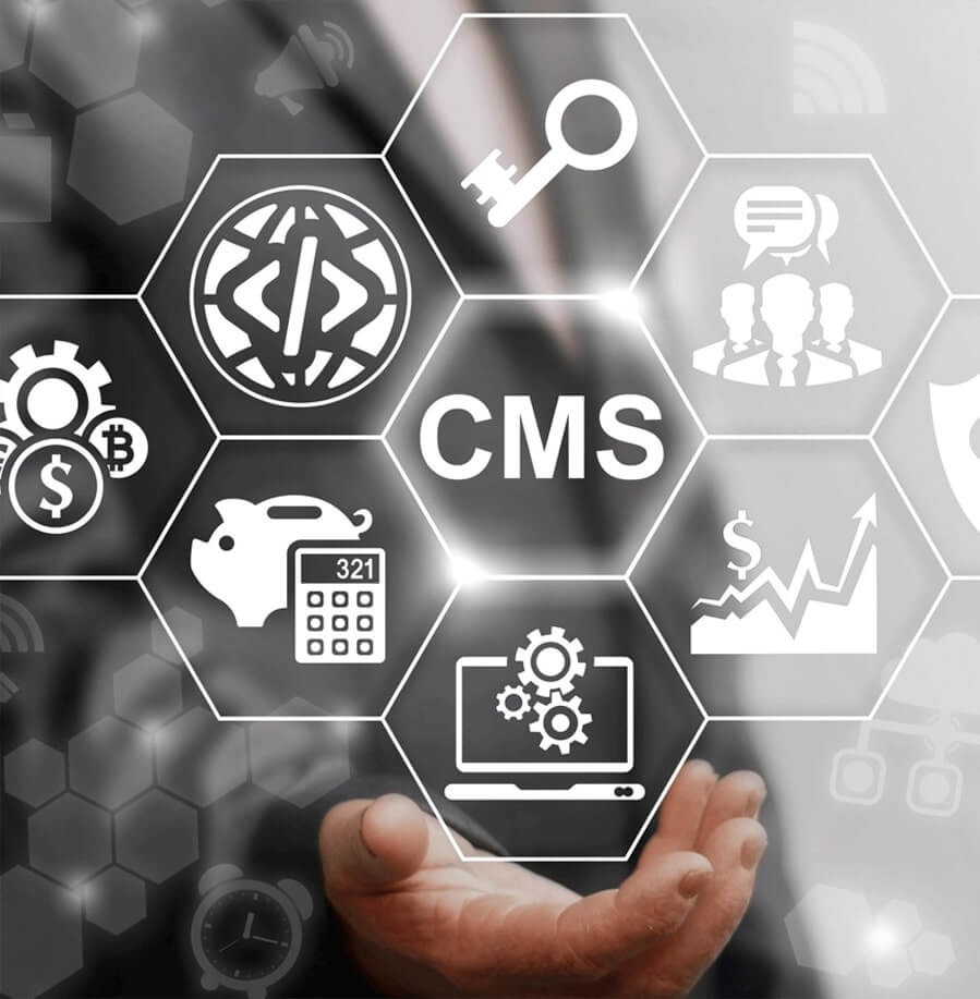 cms development company