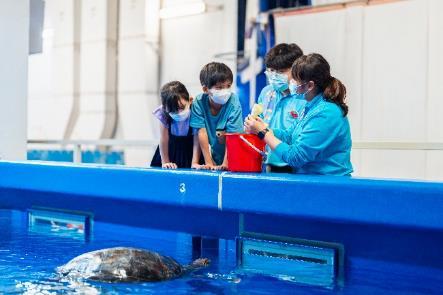 生活-動物保育-海洋公園-海龜