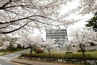 A building with a tree in the foreground

AI-generated content may be incorrect.