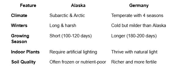 Thriving Plants in the Harsh Alaskan Climate