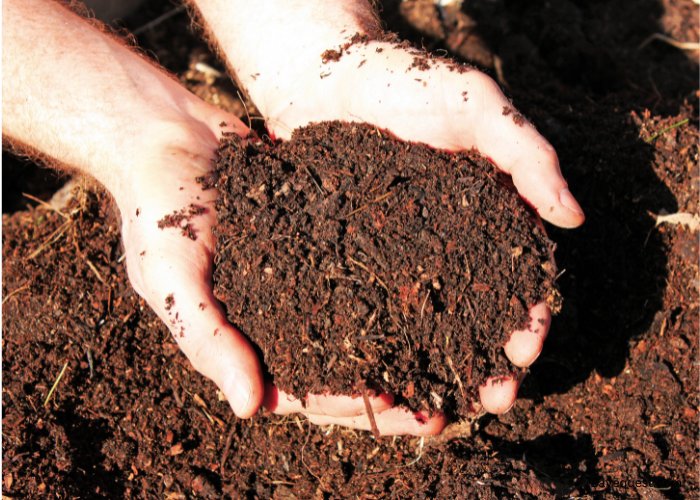 How to Compost Manure