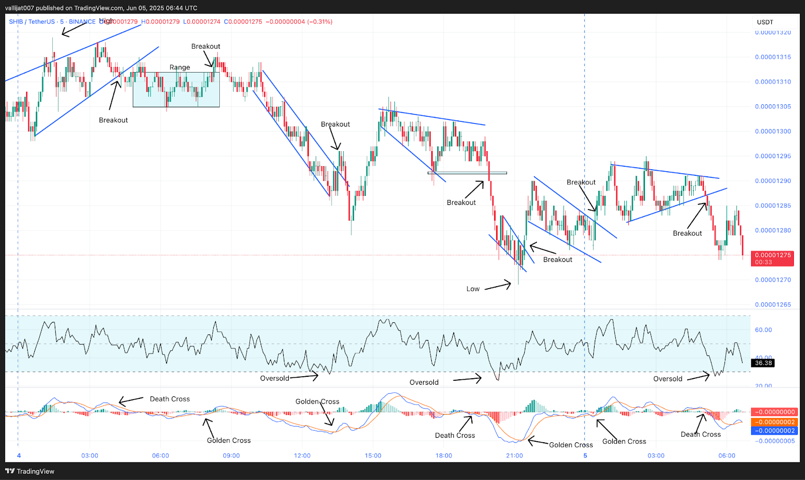 Chart 4: SHIB/USDT M5 Chart, Analysed by vallijat007, published on TradingView, June 5, 2025
Shiba Inu price