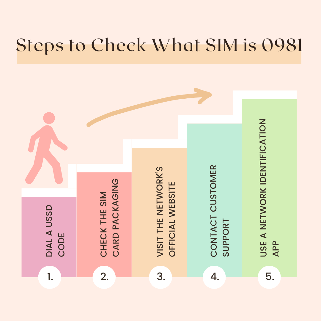 Steps to Check What SIM is 0981