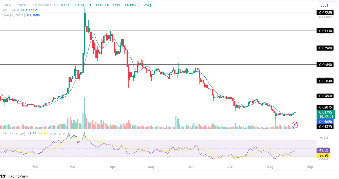 Gala Price Analysis 20-08-2024 