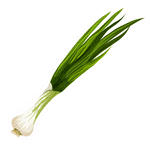 Green Onion