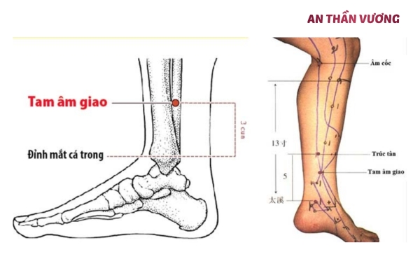 5 huyệt đạo giúp cải thiện tình trạng khó đi vào giấc ngủ 