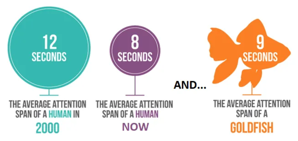 A graphic demonstrating the average attention span of a human being, which is lower than a goldfish.