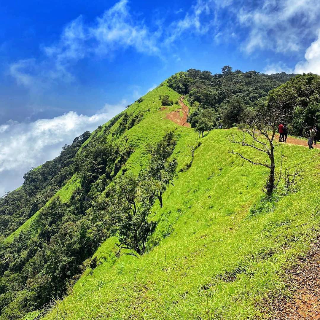 kodachadri trek