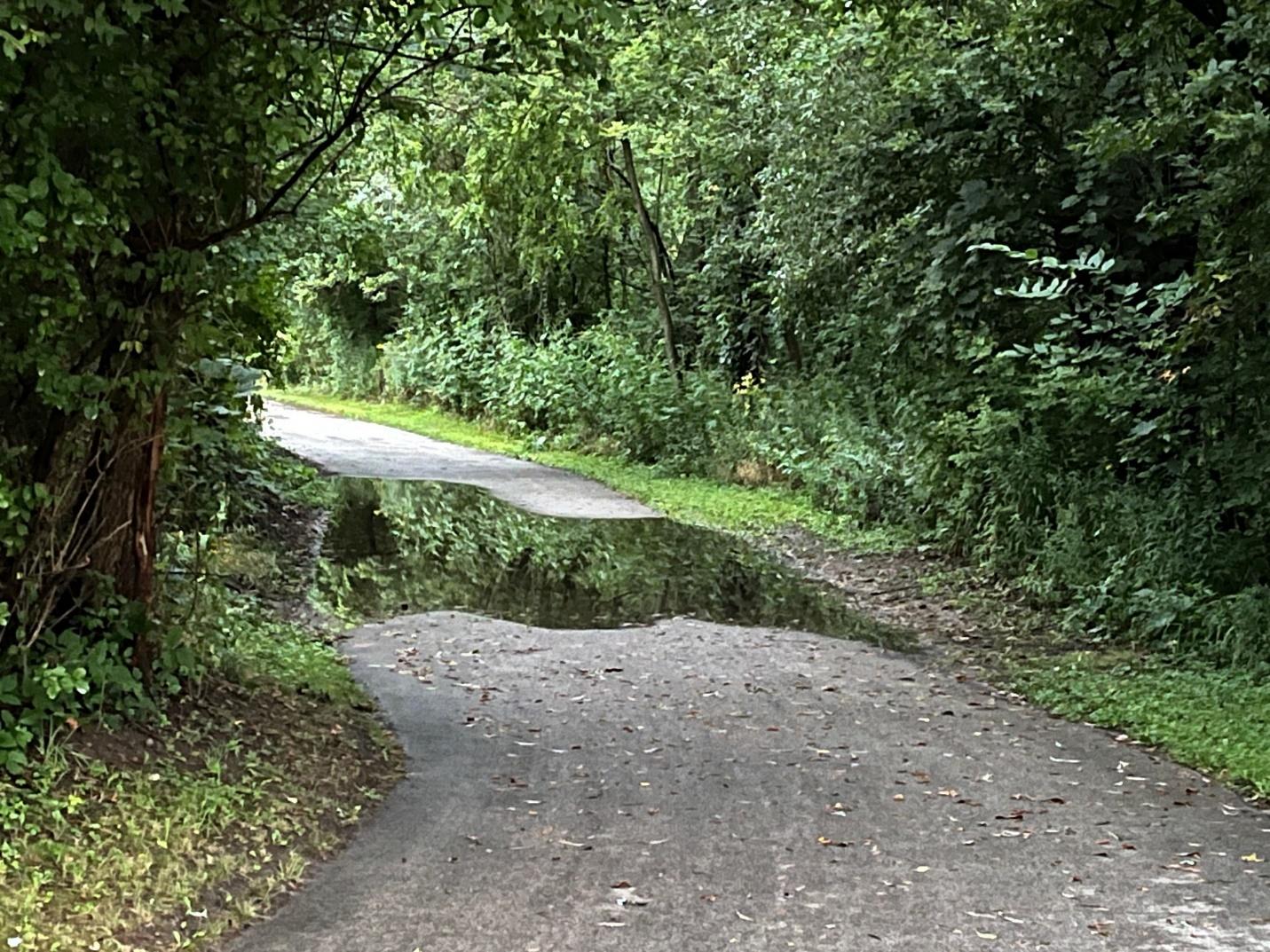 A puddle on a road

Description automatically generated