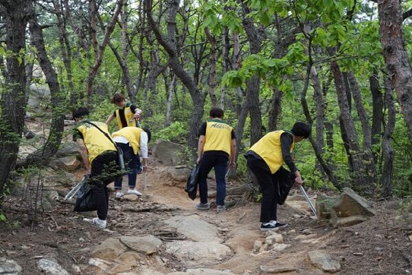 Sinh viên trường tham gia hoạt động tình nguyện bảo vệ môi trường