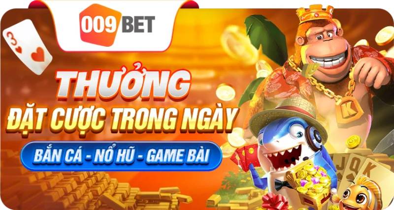 Tổng quan về nhà cái uy tín 009bet