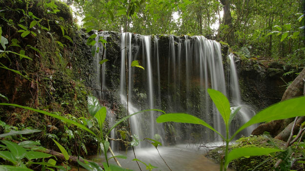 Agumbe, Karnataka – Monsoon’s Best Kept Secret
