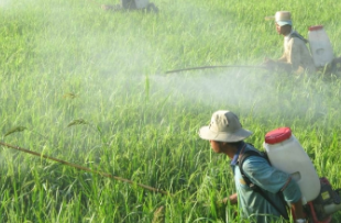 Biện pháp hóa học.olm
