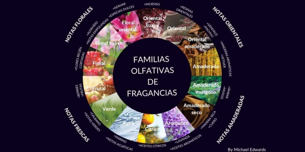 familias olfativas de fragancias por categoria