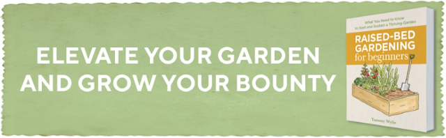 Thriving Garden Paradise Your Urban Space