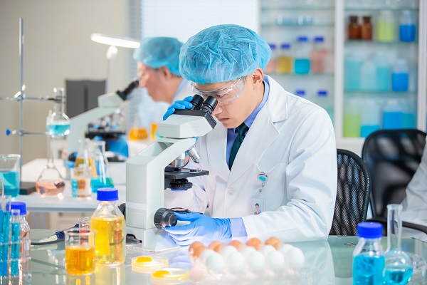 Innovative Applications Gelatin in Meat Substitutes and Vegan Products