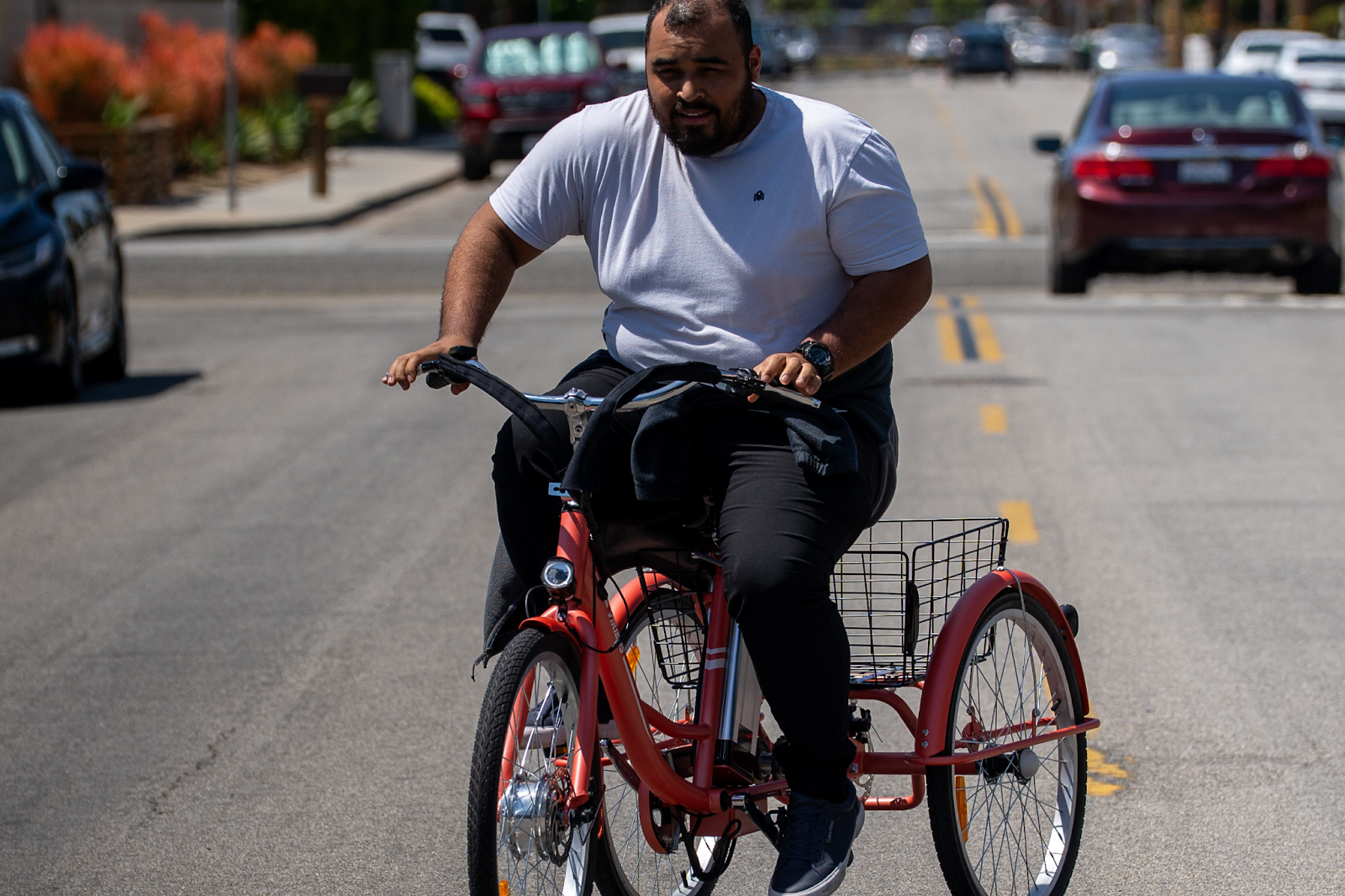 adult tricycle for overweight