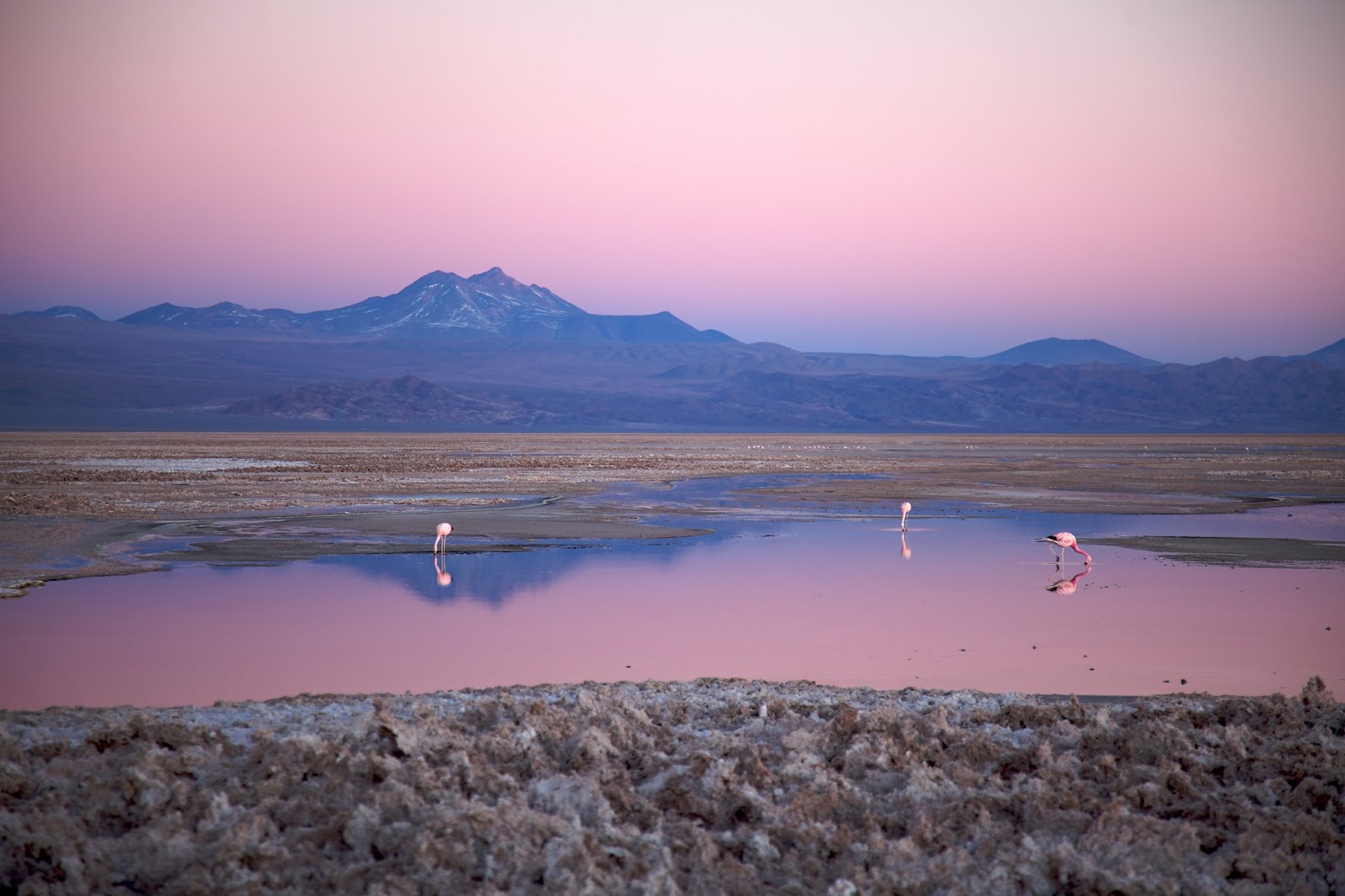 atacama desert stargazing