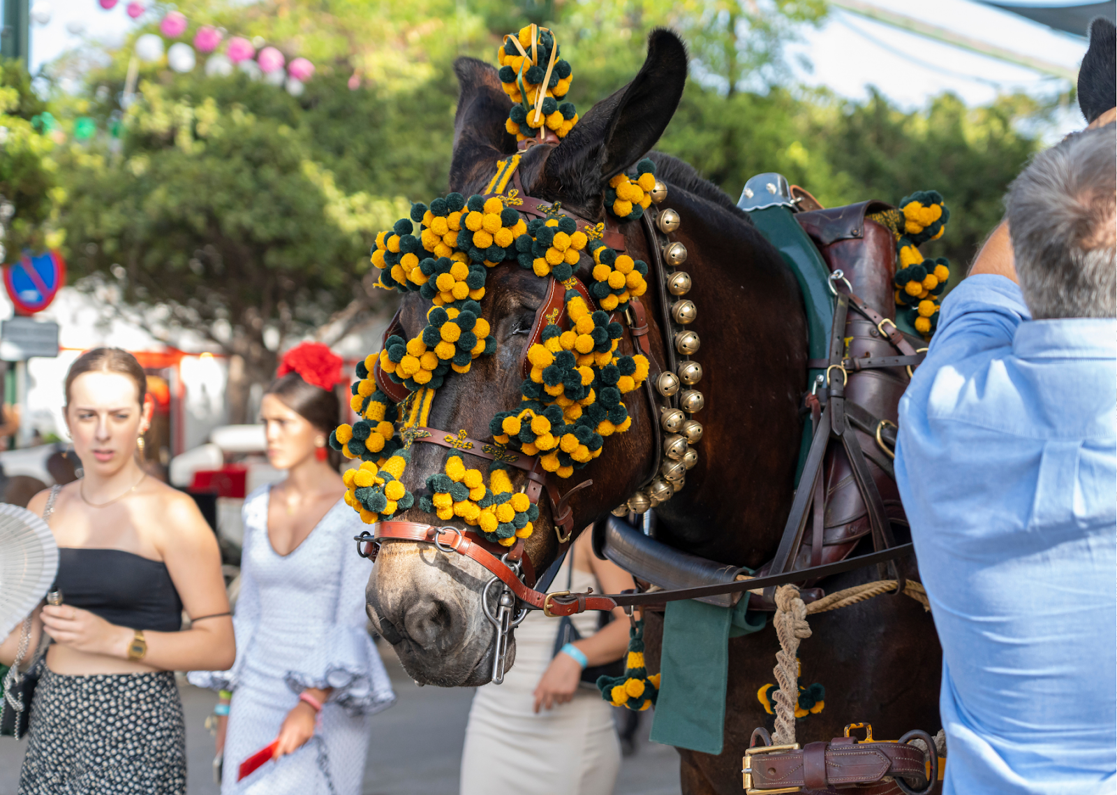 This image illustrates an unspoken rule for tourists in Spain: embrace and respect local customs. It captures a festive street scene featuring a horse adorned with colorful decorations, including vibrant yellow and green pom-poms, traditional leather tacks, and decorative bells, indicating its role in a cultural parade or celebration. In the background, people in traditional attire and casual clothing walk by, adding to the lively atmosphere. The bright decorations on the horse and the festive dress of the onlookers highlight the importance of participating in and appreciating local cultural traditions in Spain.