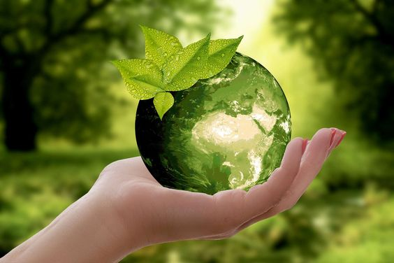 Sustainable Living: How to Make Eco-Friendly Choices