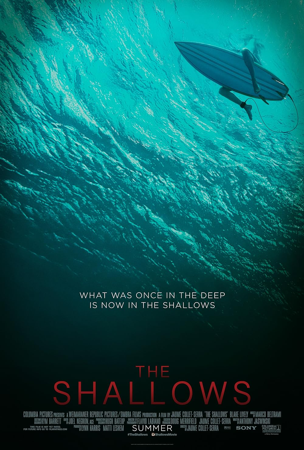 The Shallows- movies similar to beast