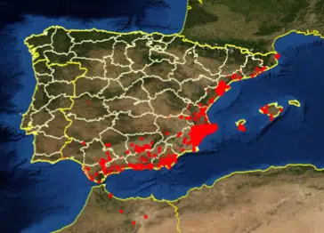 Miel d’Albaida ou genet des falaises : goût, arôme, couleur et toutes ses caractéristiques - À PROPOS DU MIEL