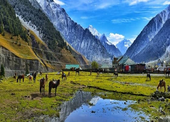 things to do in pahalgam