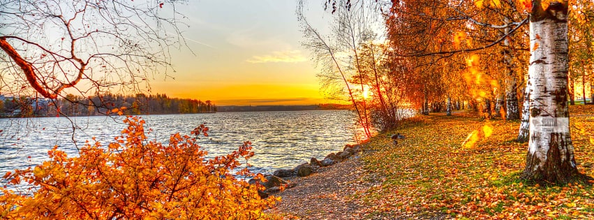 An Autumn by the lake