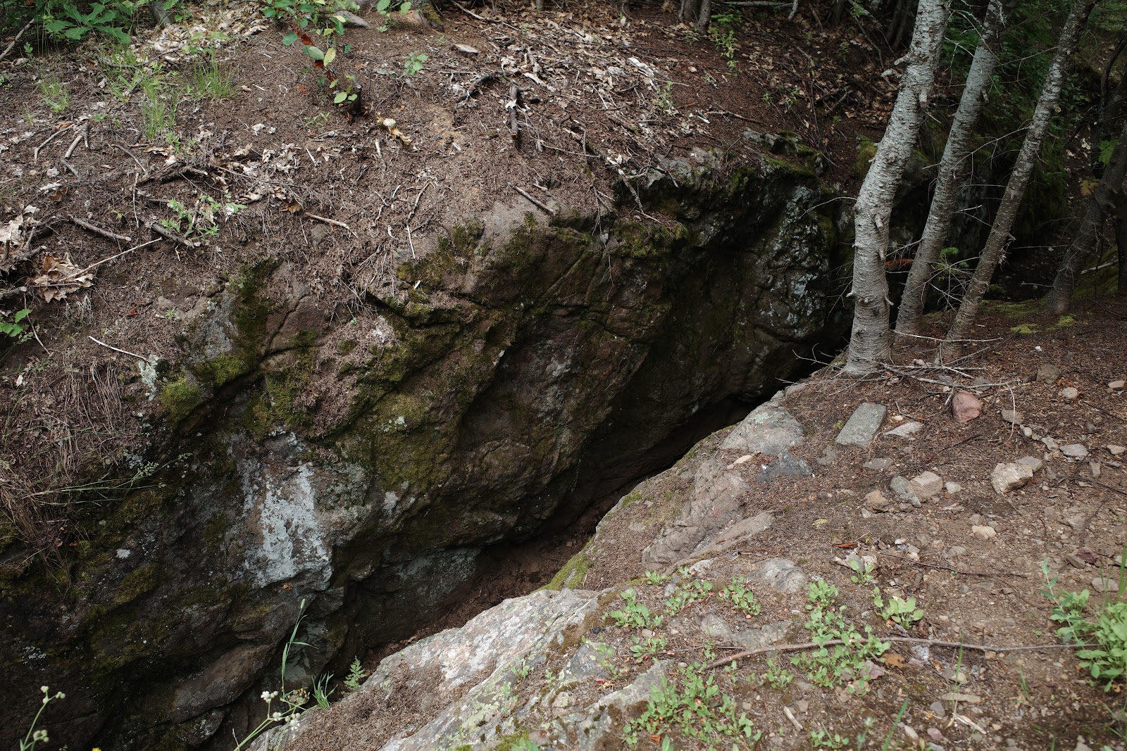 Abandoned pit mine in the forest.