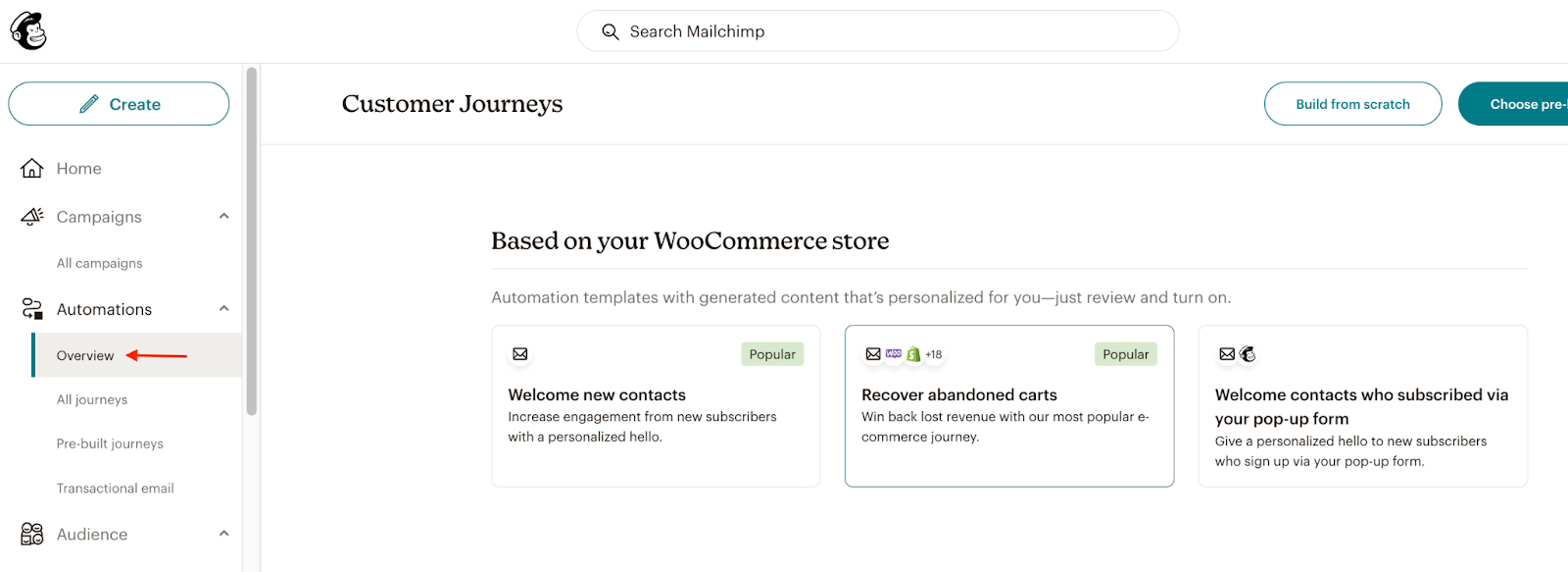 Mailchimp  Woocommerce marketing overview