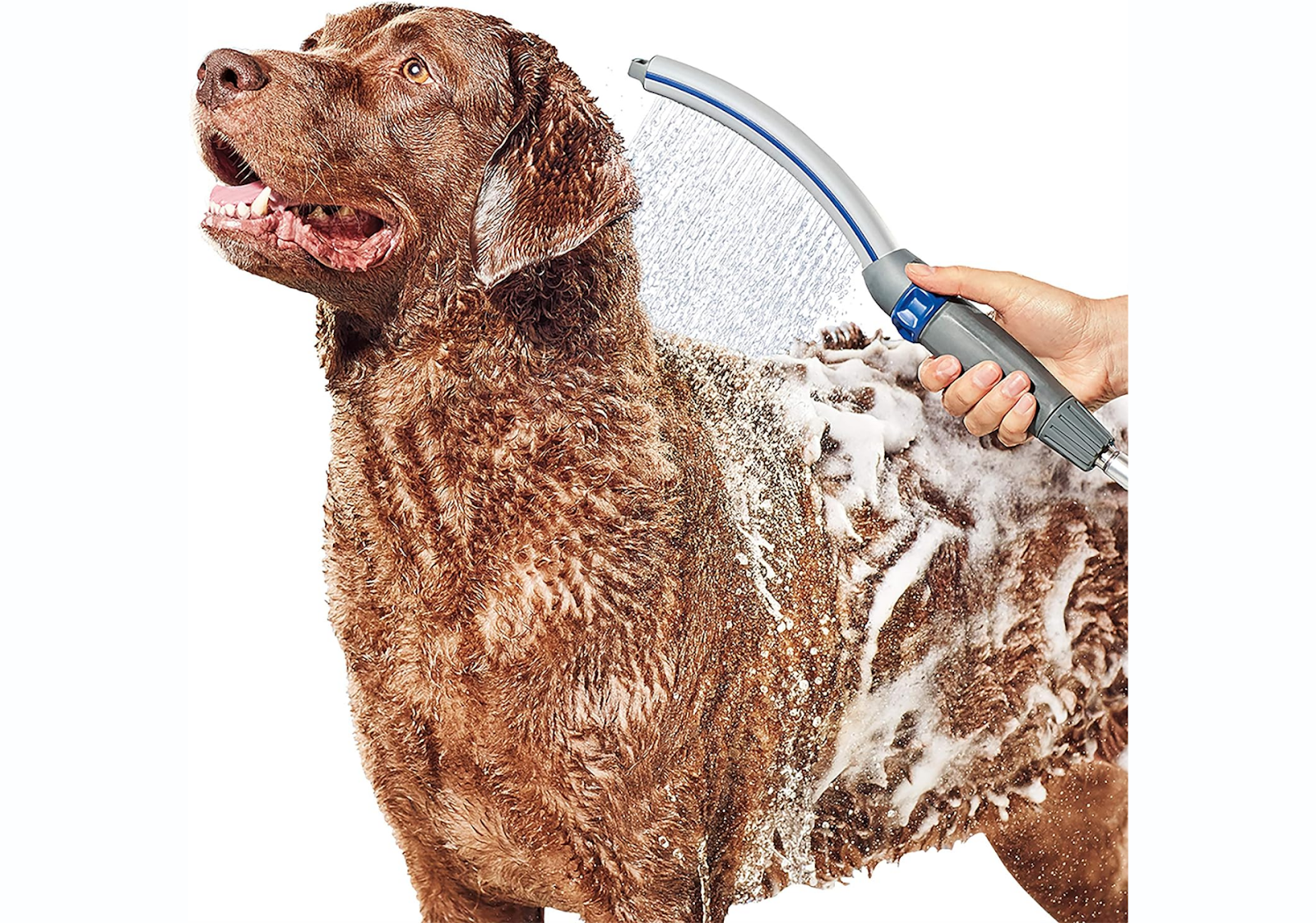 Waterpik Pet Wand Pro Dog Shower Attachment