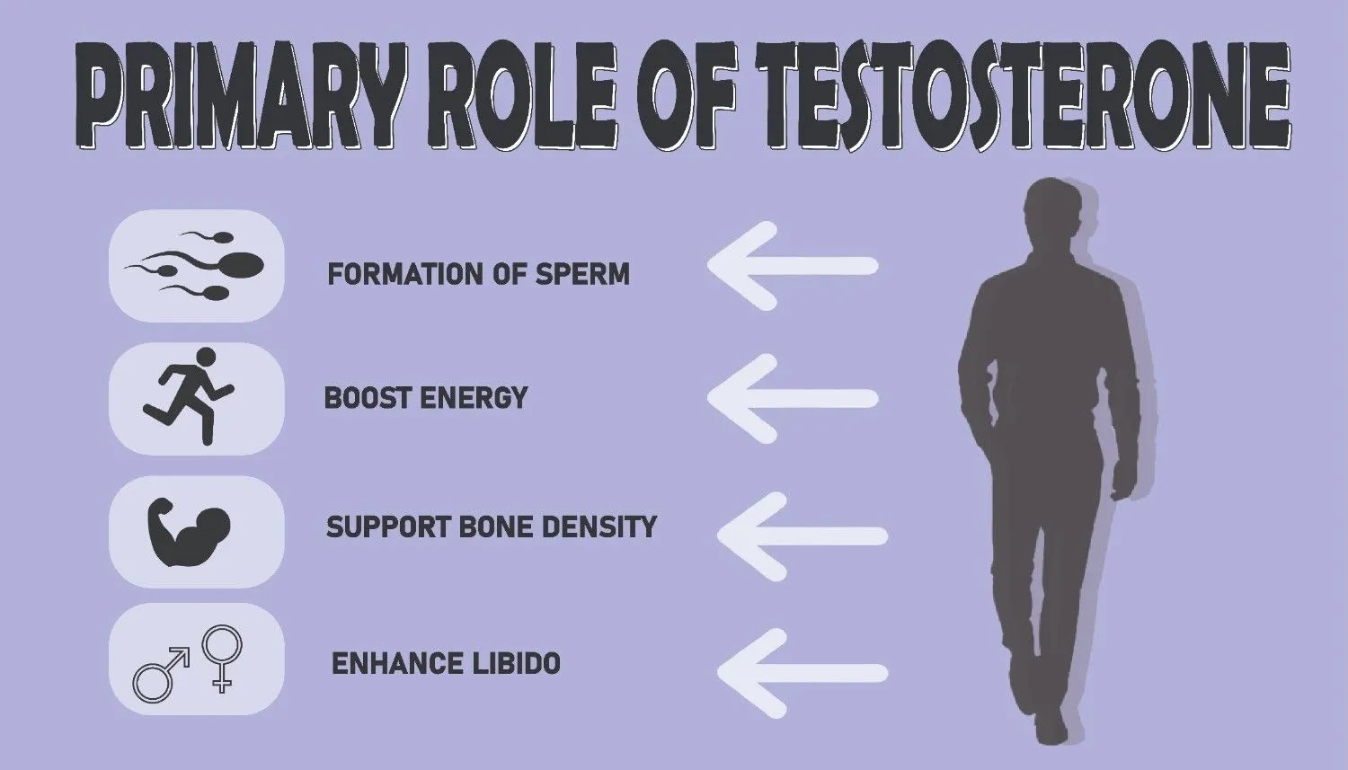 Testosterone level and its role in the body