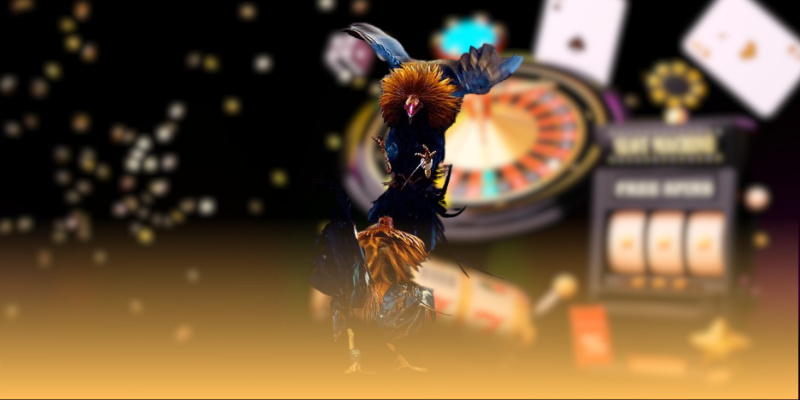 AD 4nXeOHFdqpmsg2Hquz4oEPRYJcTf8j2leQT