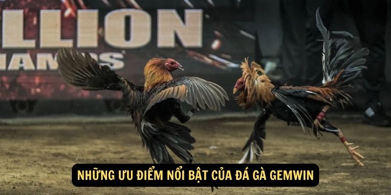 Những ưu điểm nổi bật của Đá Gà Gemwin