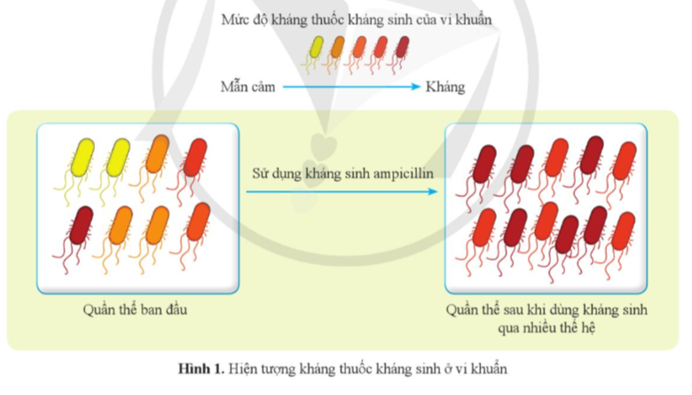 BÀI TẬP CHỦ ĐỀ 12